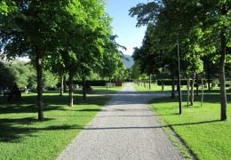 Kirkegården