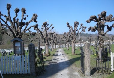 Kirkegård