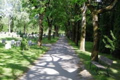 Fra kirkegården