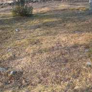 Heggland gamle kirkegård