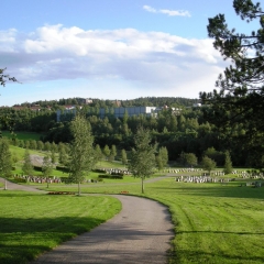 Fra kirkegården