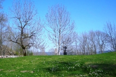 Kirkegården