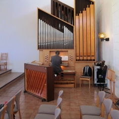 Orgel