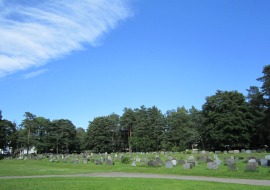 Kirkegård