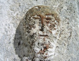Skjeggtrekker