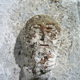 Skjeggtrekker
