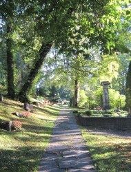 Fra kirkegården
