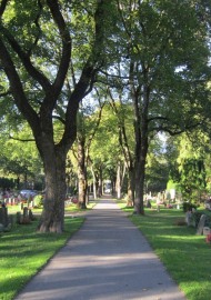 Fra kirkegården